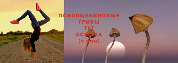ALPHA PVP Алзамай