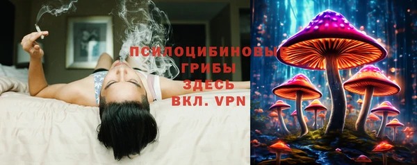 твердый Приозерск