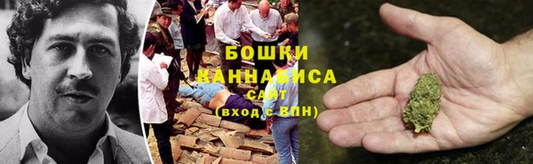 прущие грибы Алексеевка