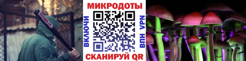 Галлюциногенные грибы Cubensis  kraken маркетплейс  Ветлуга 